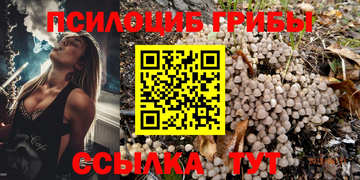 Псилоцибиновые грибы Magic Shrooms Тверь